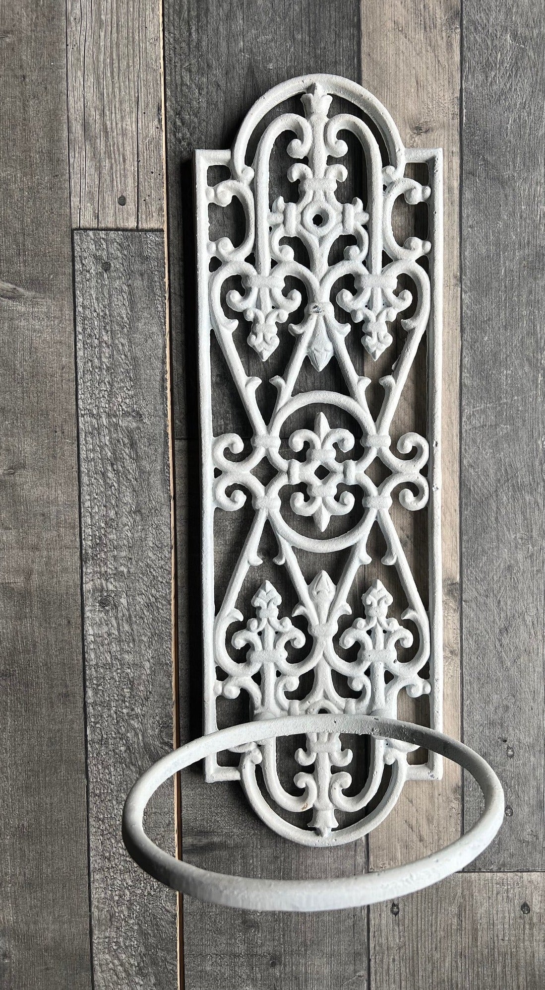 Wall Ring Planters Style 2