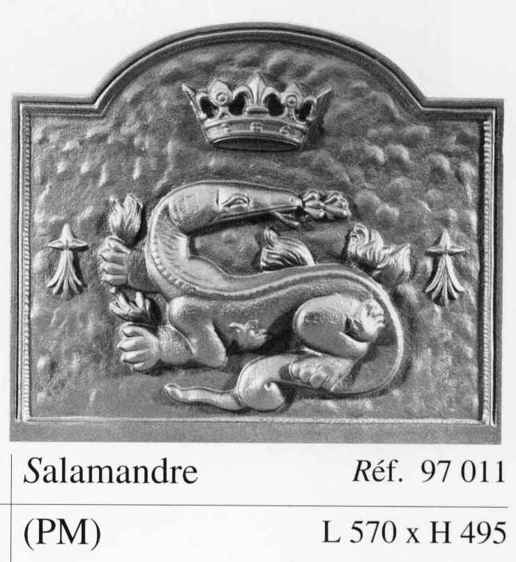 FFB011 57cm x 49.5cm Salamander Cast Iron Fireback